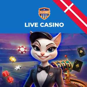 En kattekarakter klædt ud som croupier med et roulettehjul, spillekort og chips.